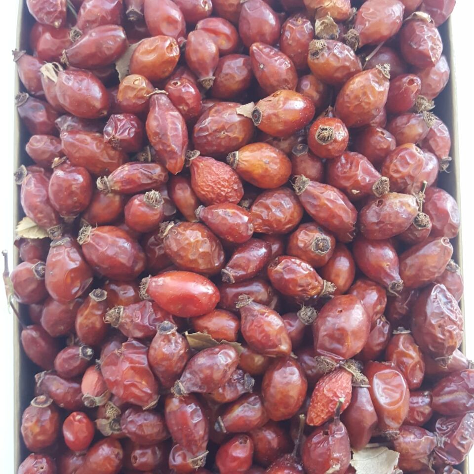 Toptan Kuşburnu Kurusu 10 Kg