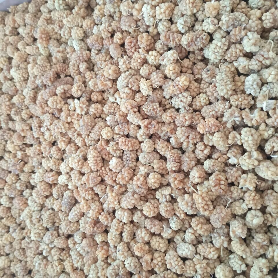 Toptan Özel Beyaz Dut Kurusu