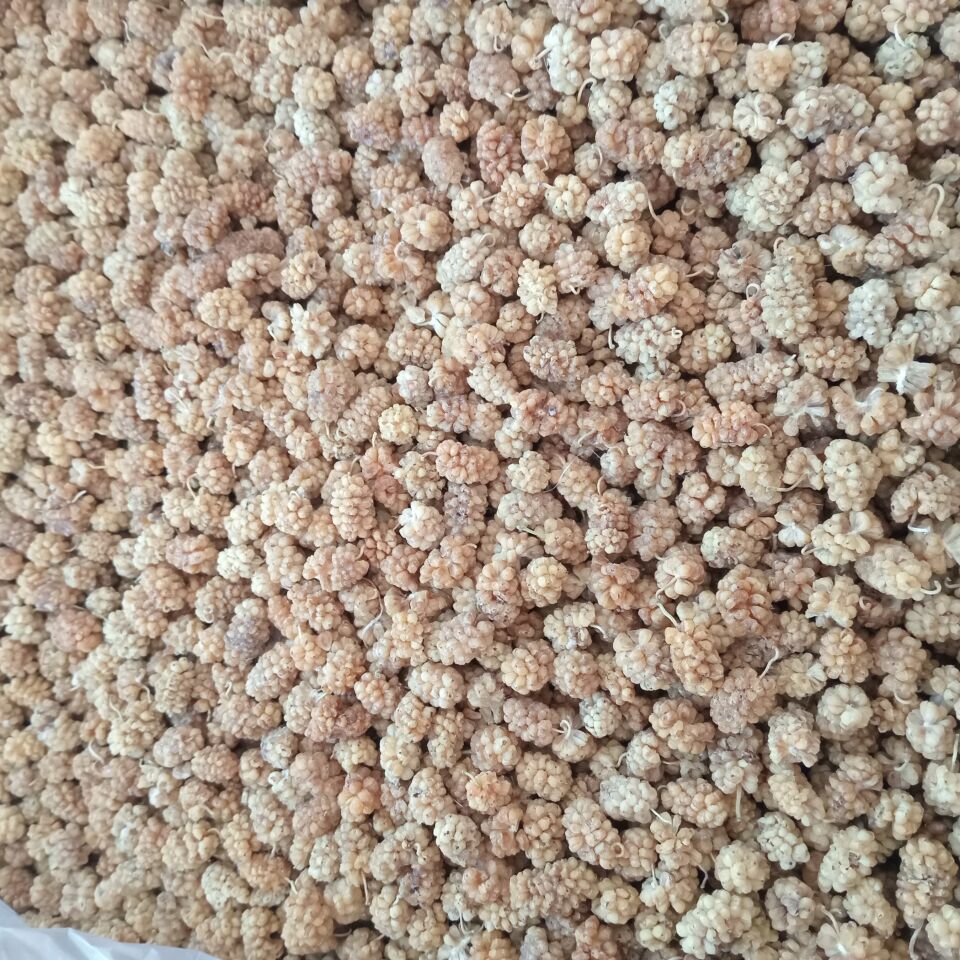 Toptan Özel Beyaz Dut Kurusu