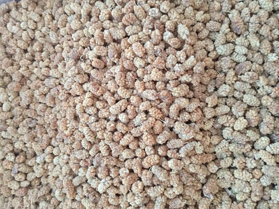 Toptan Özel Beyaz Dut Kurusu