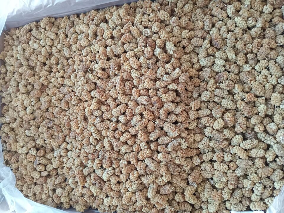 Toptan Özel Beyaz Dut Kurusu