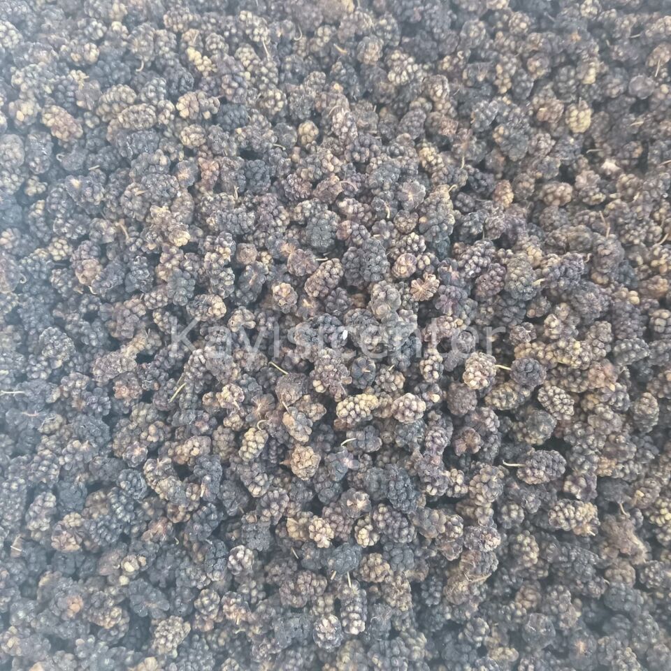 Toptan Ekonomik Karadut Kurusu 10 Kg