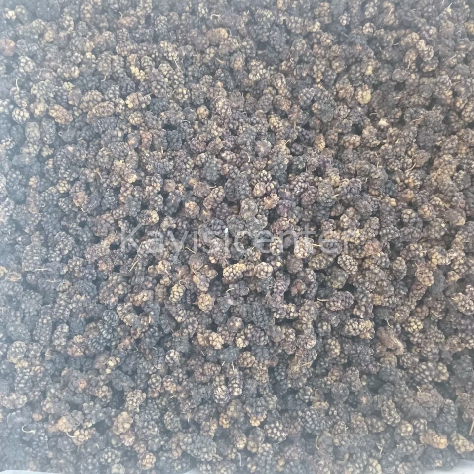 Toptan Ekonomik Karadut Kurusu 10 Kg