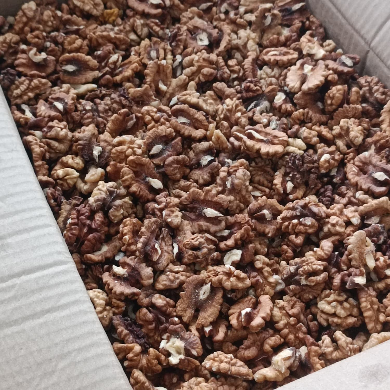 Toptan İthal Kelebek Ceviz İçi 10 Kg