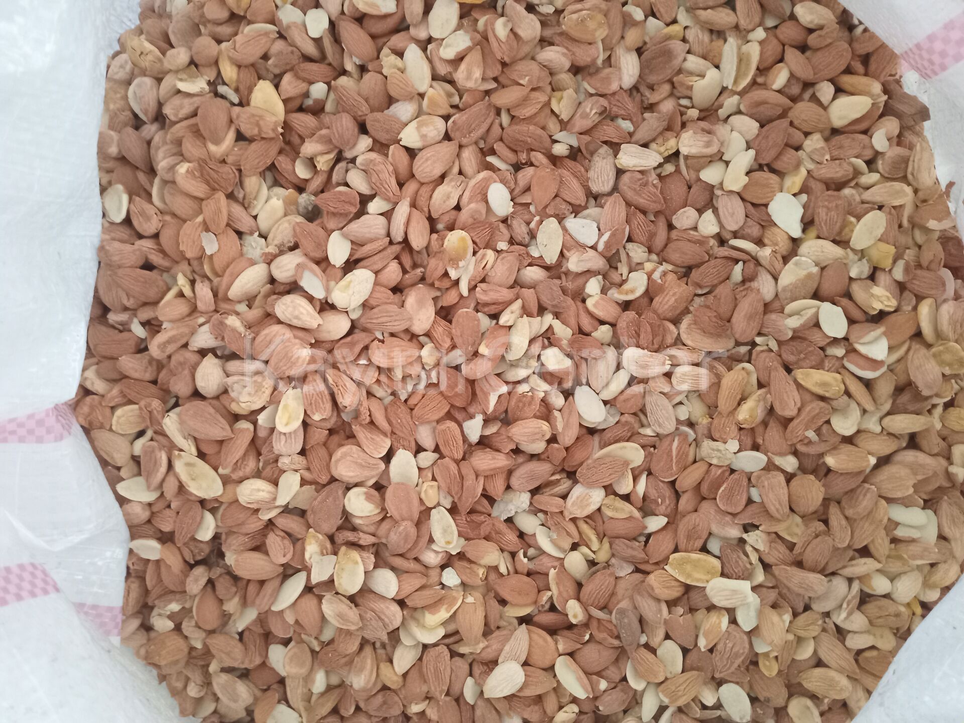 Toptan Kırık Tatlı Kayısı Çekirdeği  25 Kg