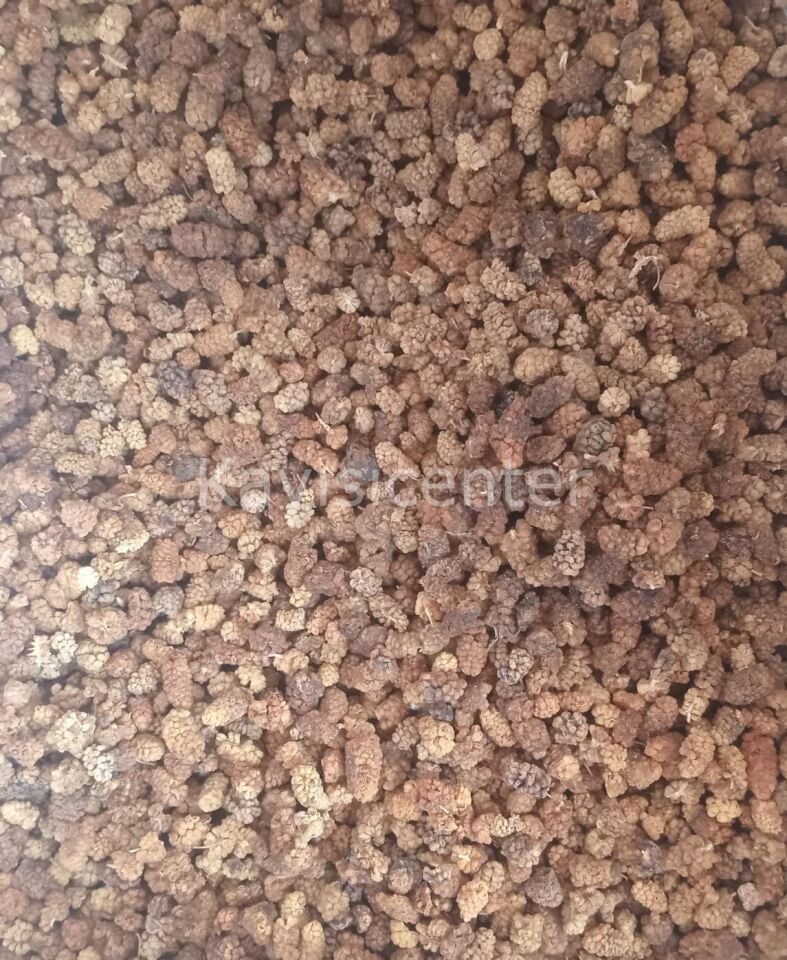 Toptan Yerli Dut Kurusu Esmer 1000 Kg