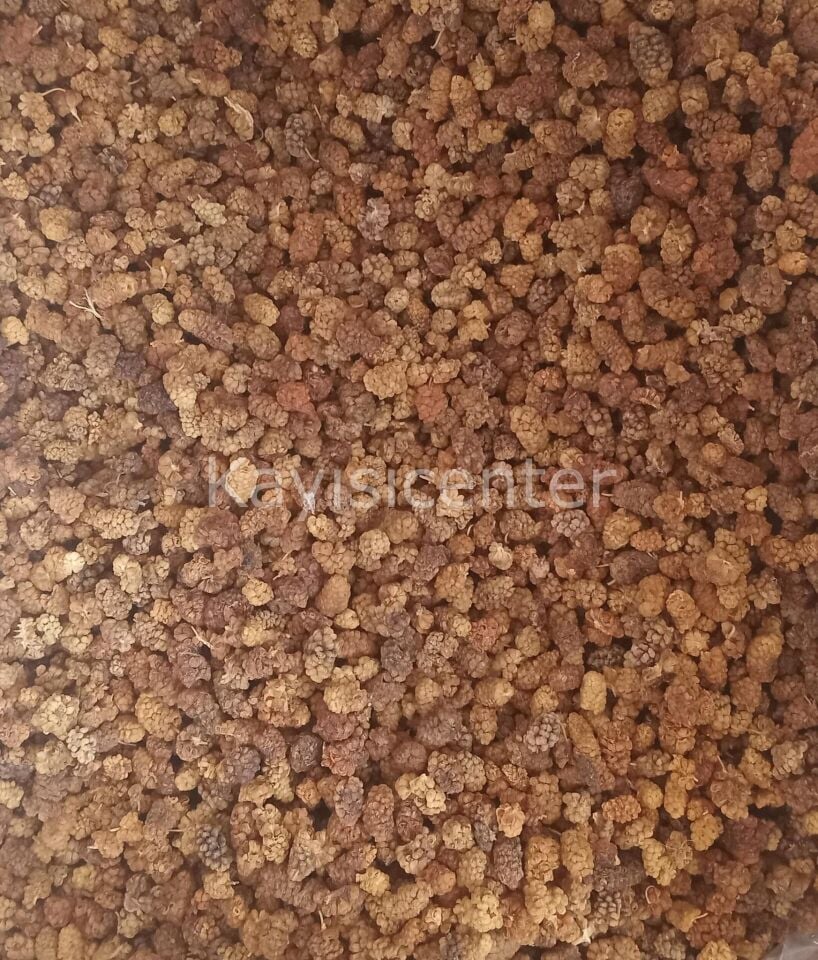 Toptan Yerli Dut Kurusu Esmer 1000 Kg