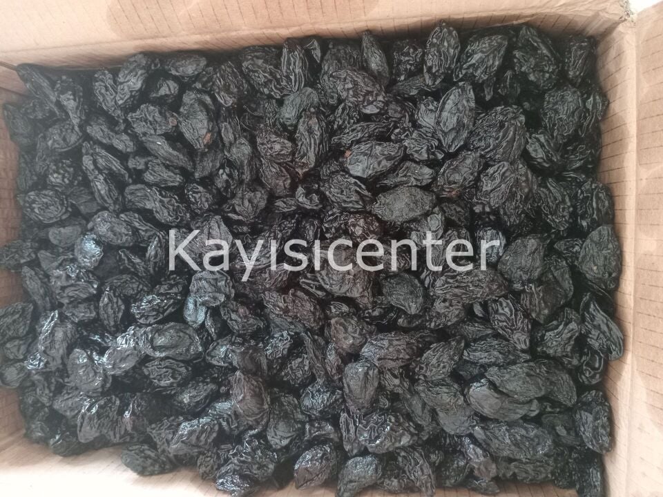 Toptan Çekirdekli Özbek Erik 1000 Kg