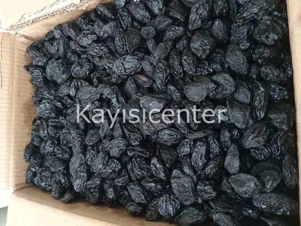 Toptan Çekirdekli Özbek Erik 1000 Kg