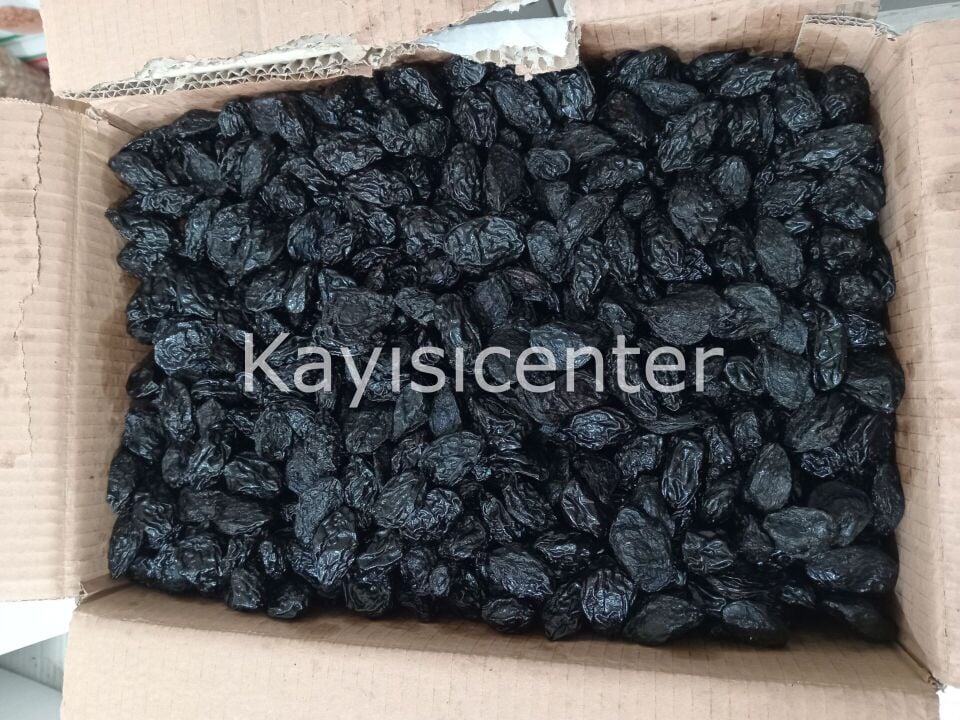 Toptan Çekirdekli Özbek Erik 1000 Kg