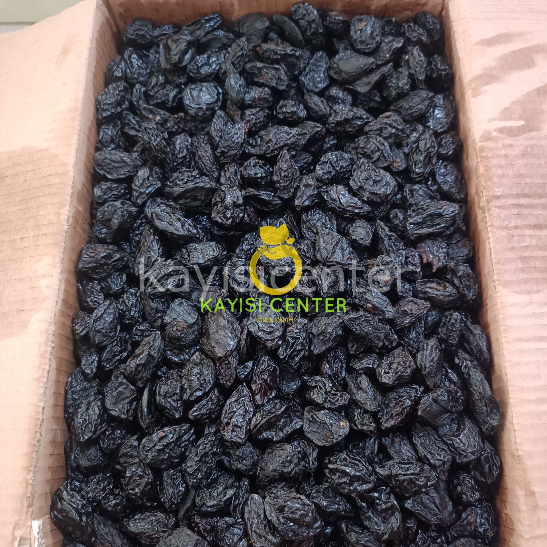 Toptan Çekirdekli Özbek Erik 1000 Kg