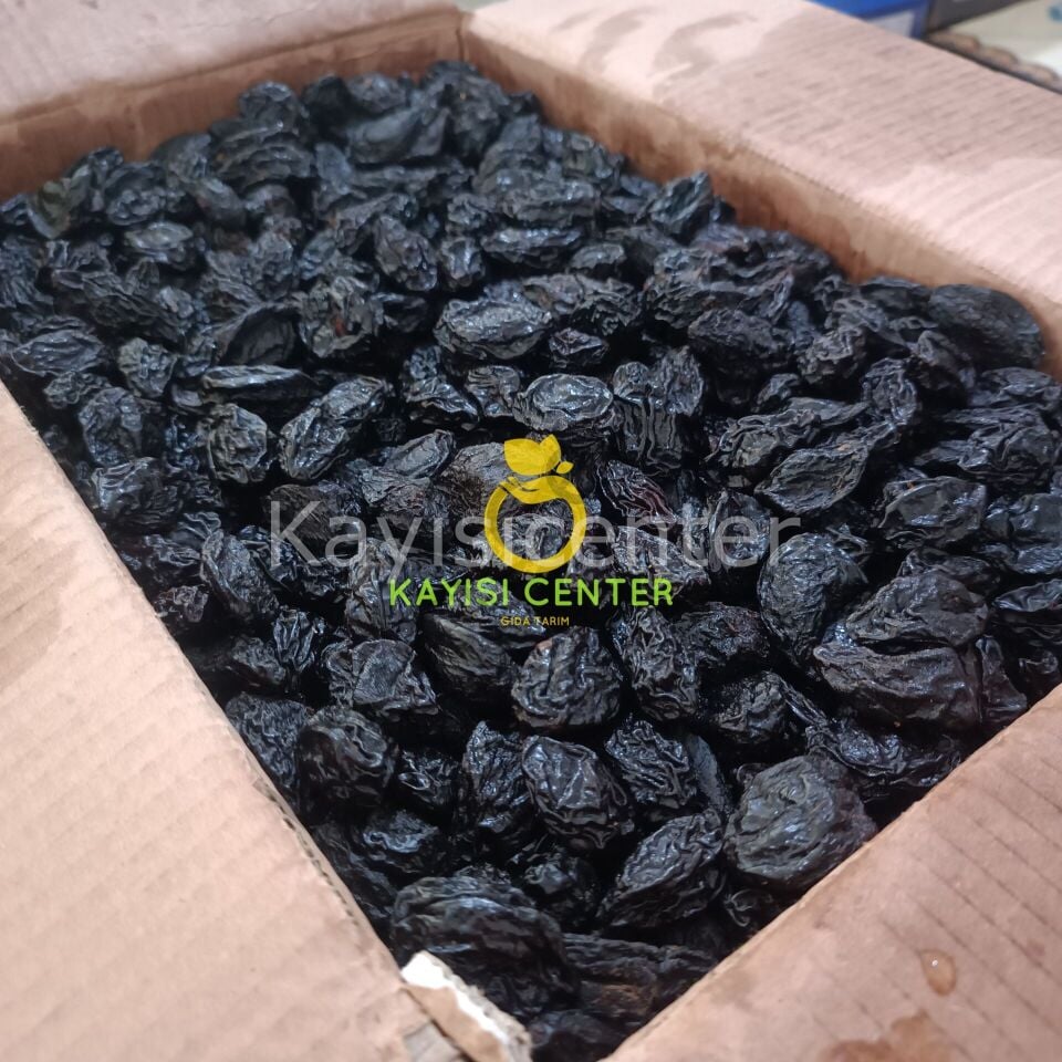 Toptan Çekirdekli Özbek Erik 1000 Kg