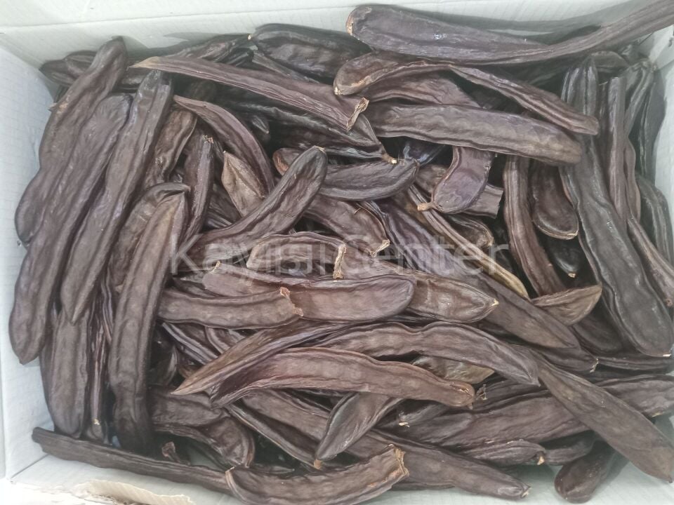 Toptan Keçi Boynuzu Meyvesi 10 Kg