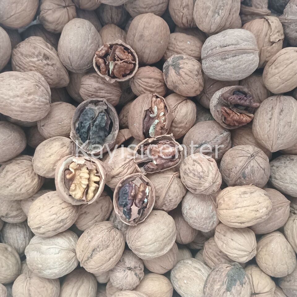 Toptan Yerli Ekonomik Kabuklu Ceviz 20 Kg