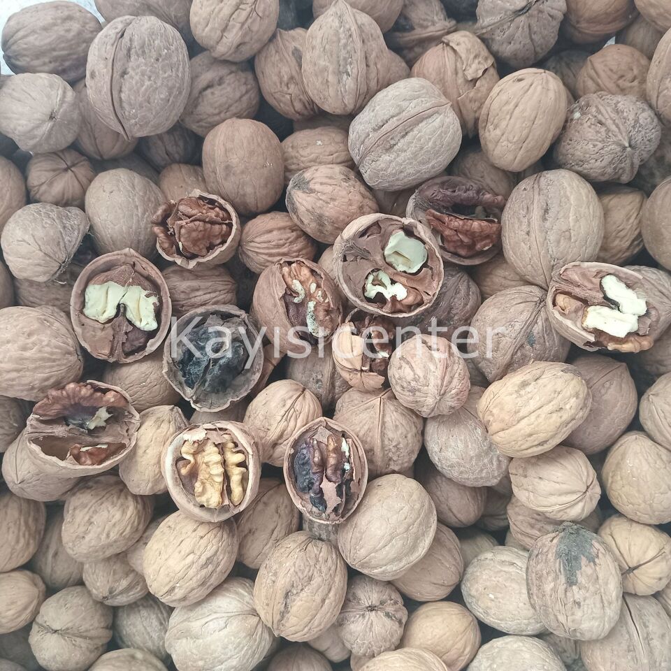 Toptan Yerli Ekonomik Kabuklu Ceviz 20 Kg