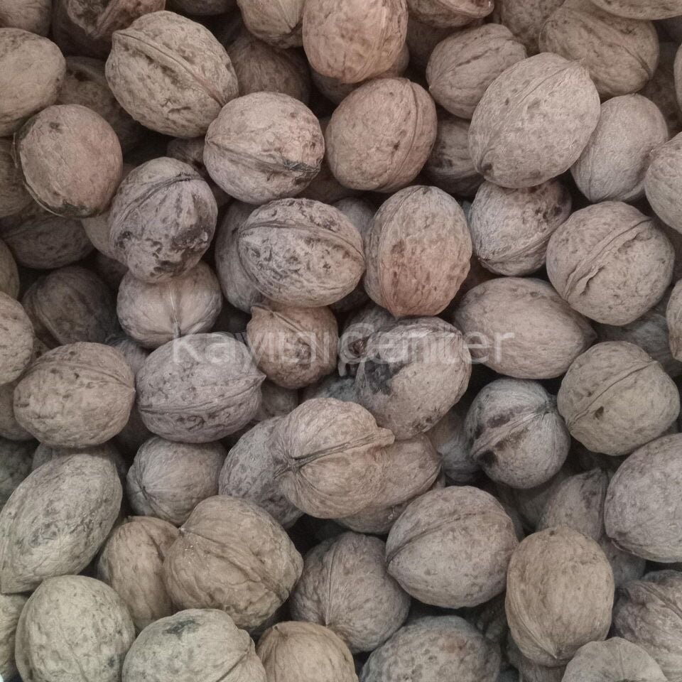 Toptan Yerli Ekonomik Kabuklu Ceviz 20 Kg