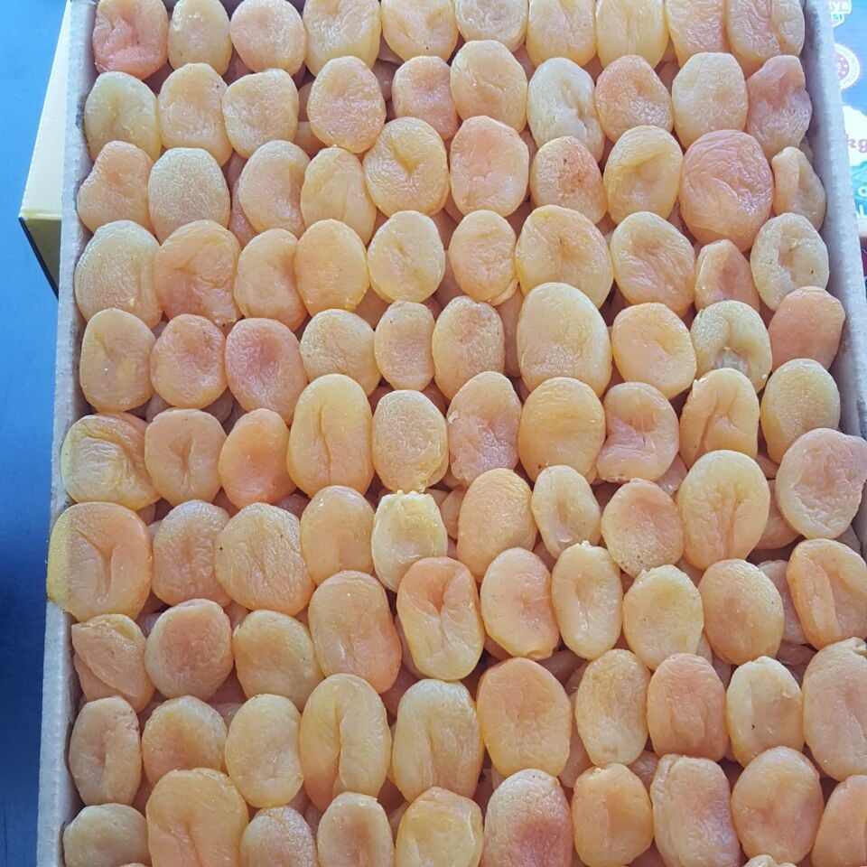 Toptan Lüks Ortaboy Sarı Kayısı 3 No 10 Kg