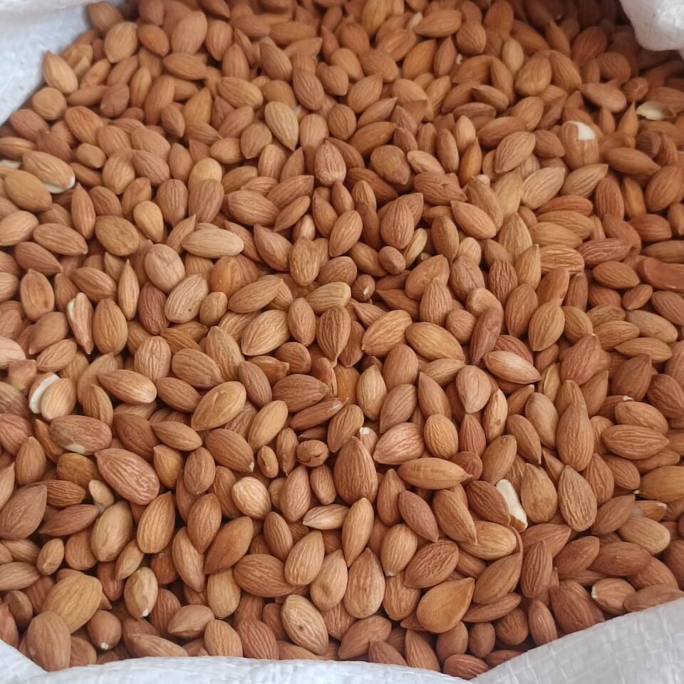 Toptan Kayısı Çekirdeği 10 Kg