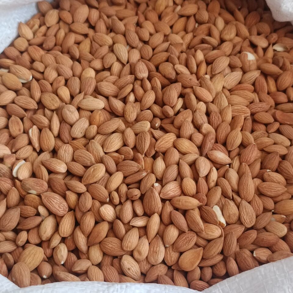 Toptan Kayısı Çekirdeği 10 Kg