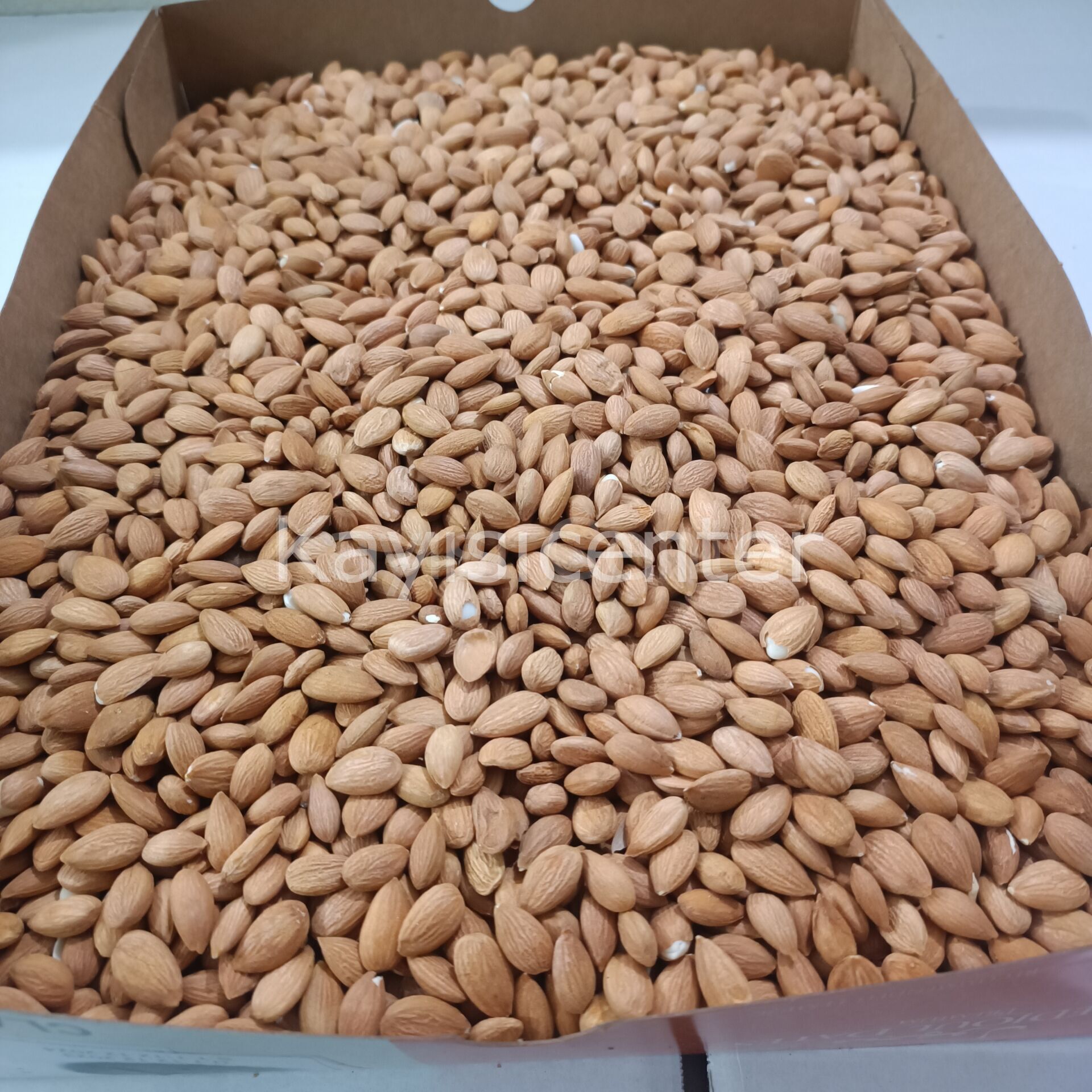 Toptan Kayısı Çekirdeği 10 Kg