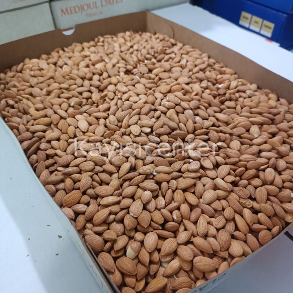 Toptan Kayısı Çekirdeği 10 Kg