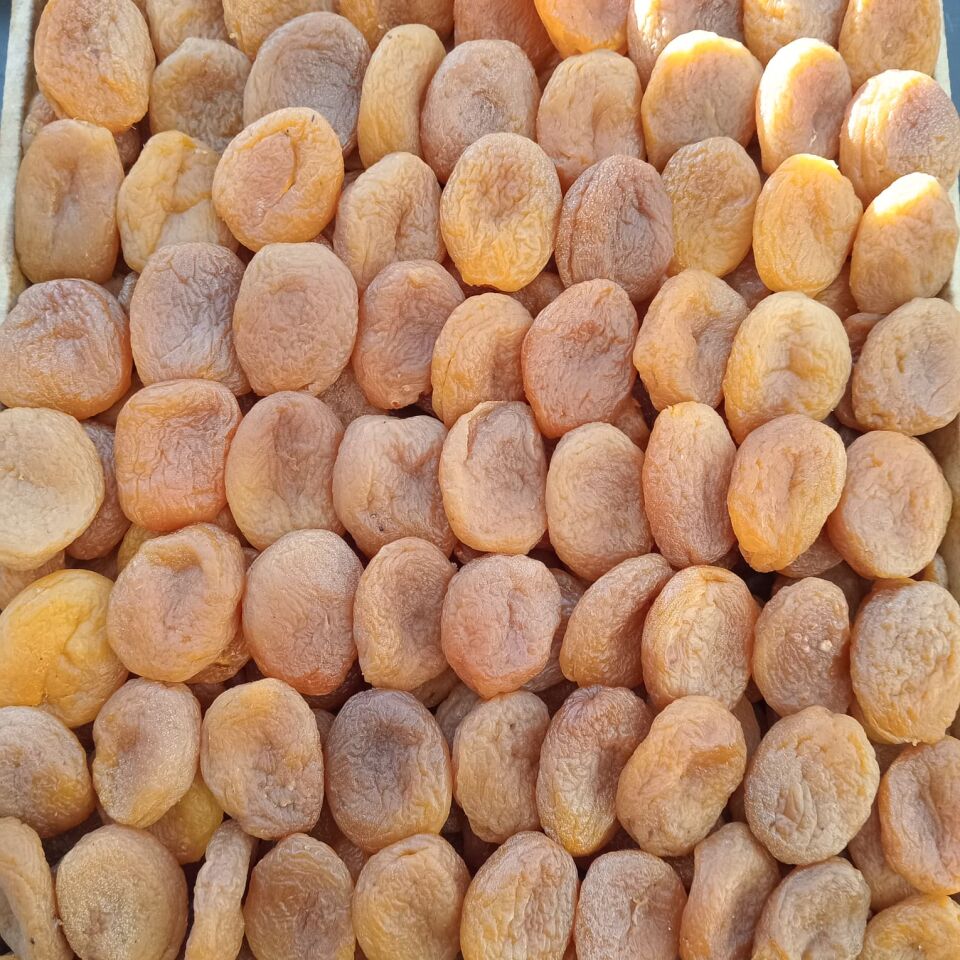Toptan Sarı Naturel B Kalite Düşük Kükürt Kayısı 10Kg