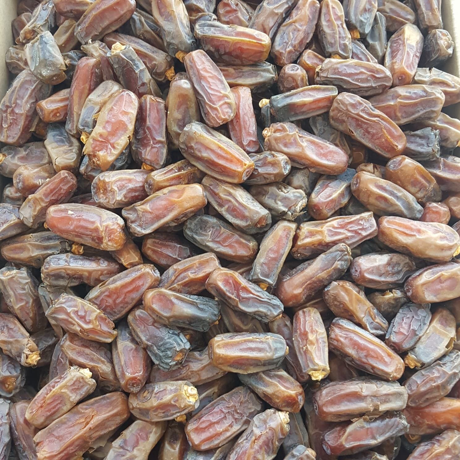 Toptan Medine Mebrum Ekonomik Hurma 10Kg