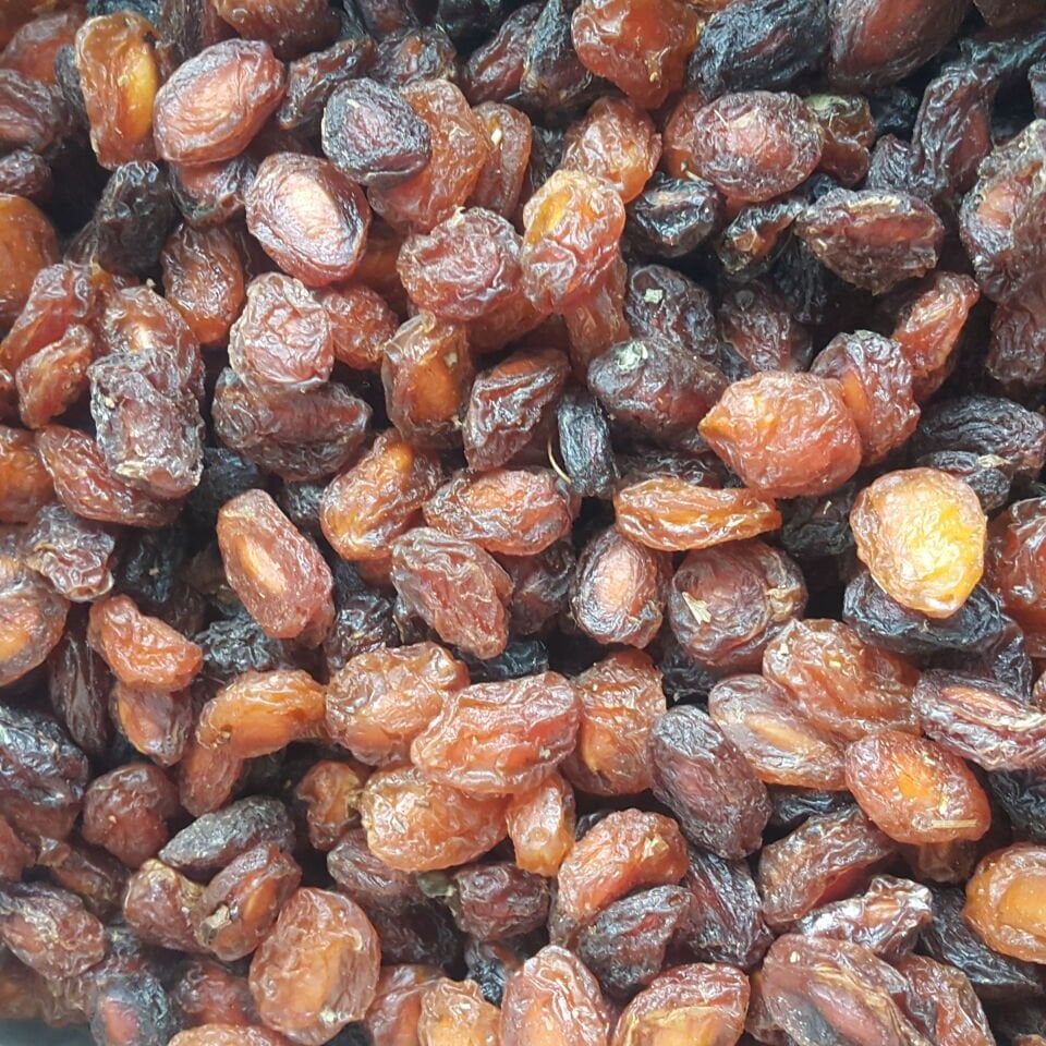 Toptan Doğal Can Erik Kurusu Duble 11 Kg