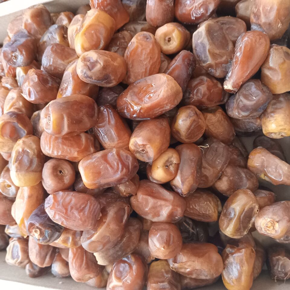 Toptan Medine Sukkari Taze Hurma 10 Kg