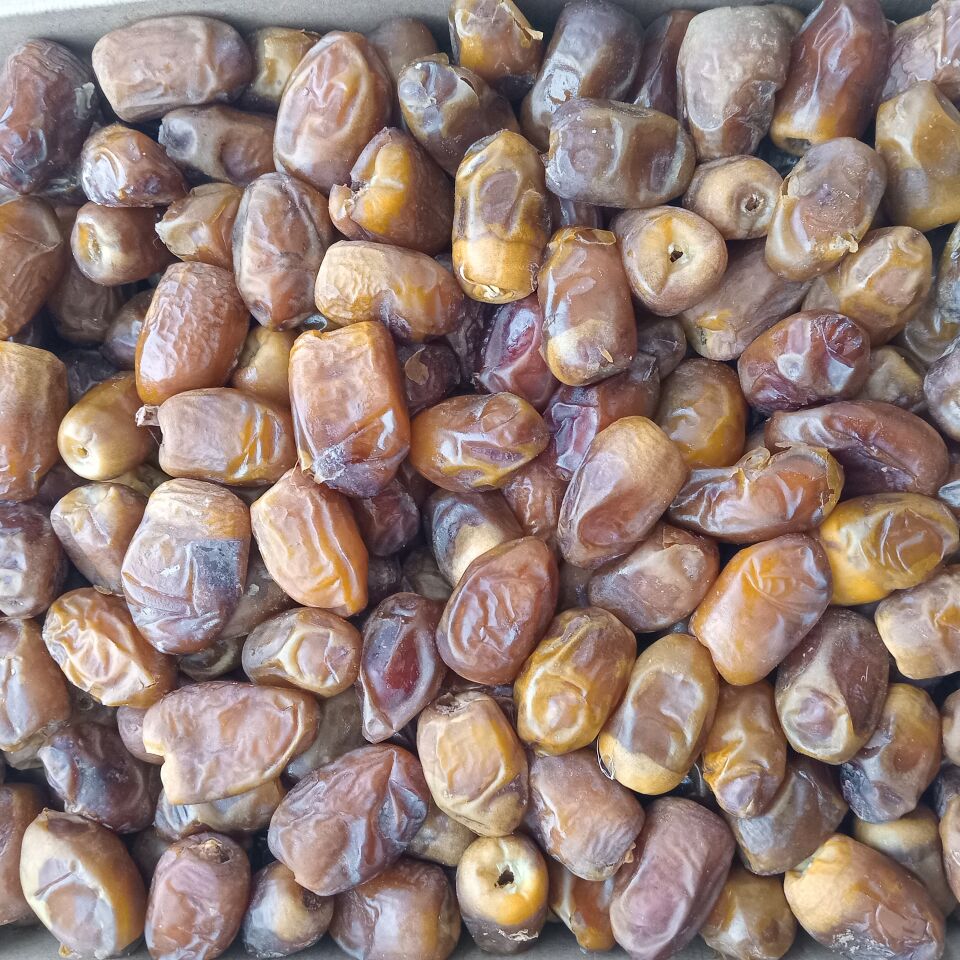 Toptan Medine Sukkari Taze Hurma 10 Kg