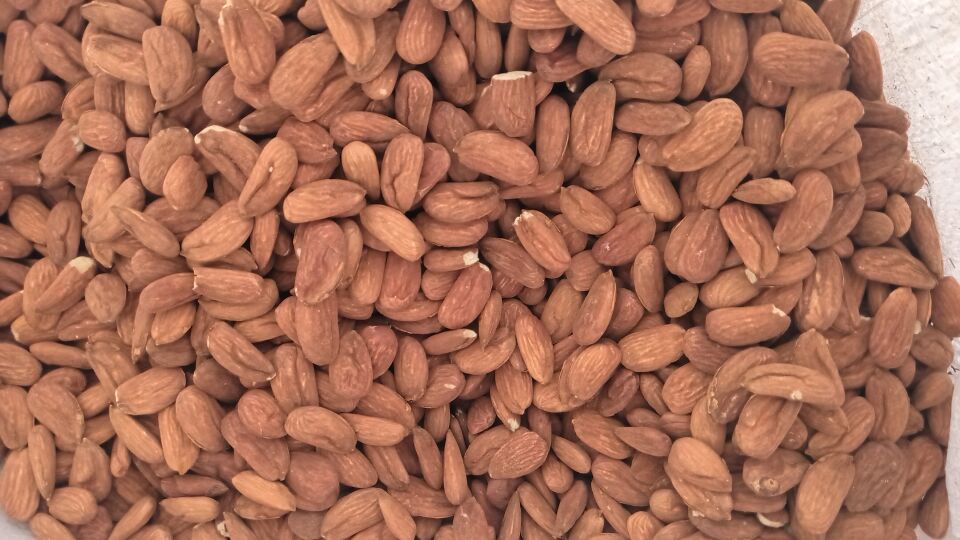Toptan Yerli Feragnes Jumbo Çiğ Badem 10 Kg