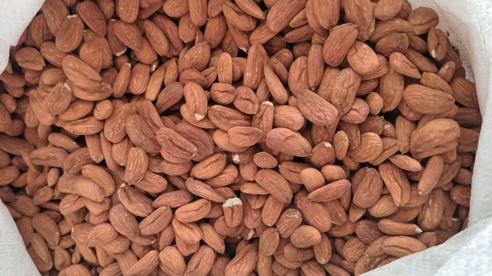 Toptan Yerli Feragnes Jumbo Çiğ Badem 10 Kg