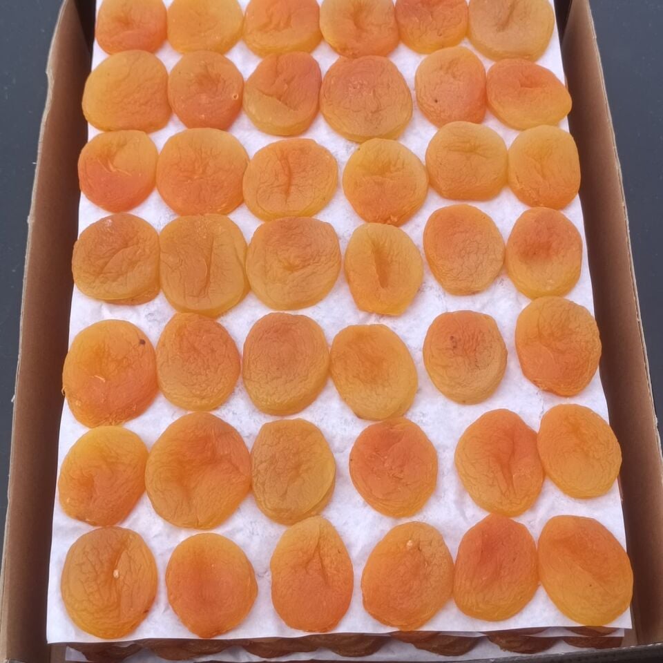 Toptan Jumbo Sarı Kayısı Özel Dizim 10Kg