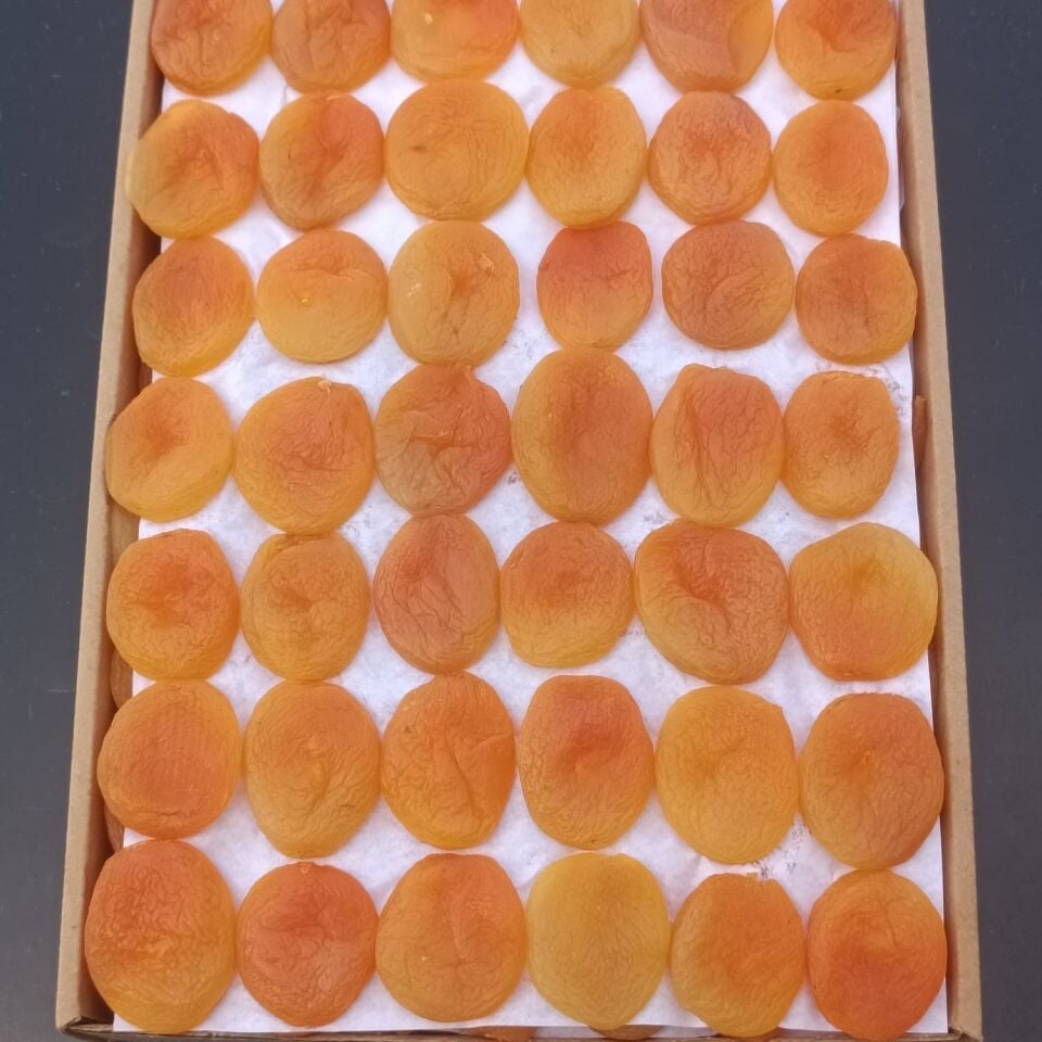 Toptan Jumbo Sarı Kayısı Özel Dizim 10Kg