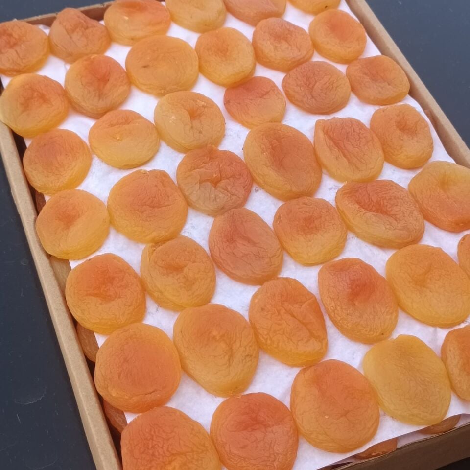 Toptan Jumbo Sarı Kayısı Özel Dizim 10Kg