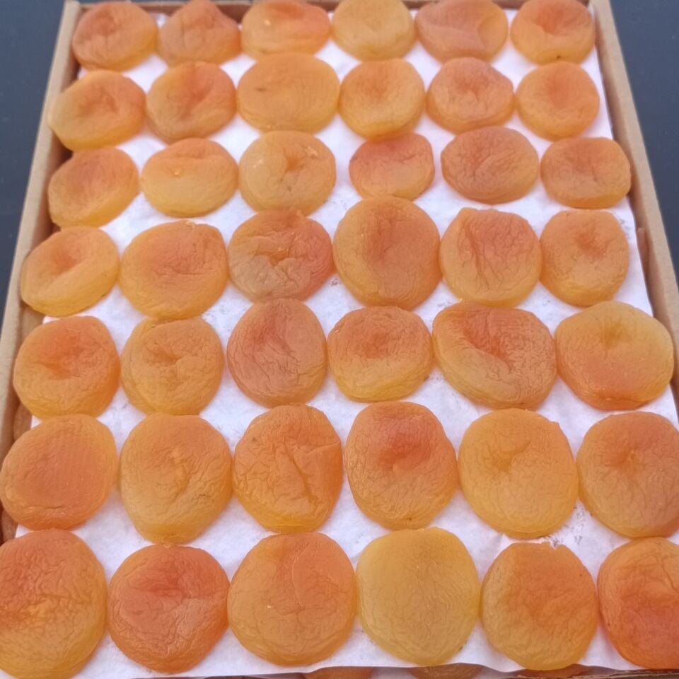 Toptan Jumbo Sarı Kayısı Özel Dizim 10Kg