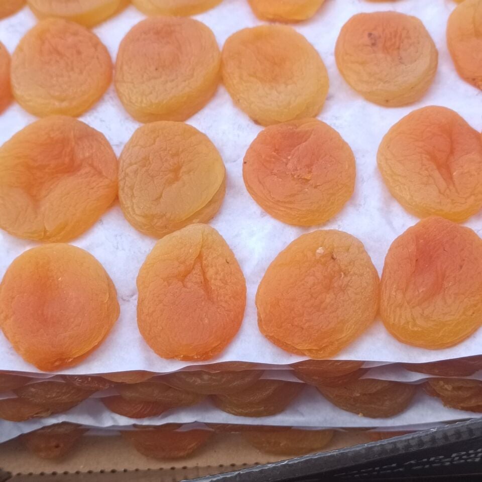 Toptan Jumbo Sarı Kayısı Özel Dizim 10Kg