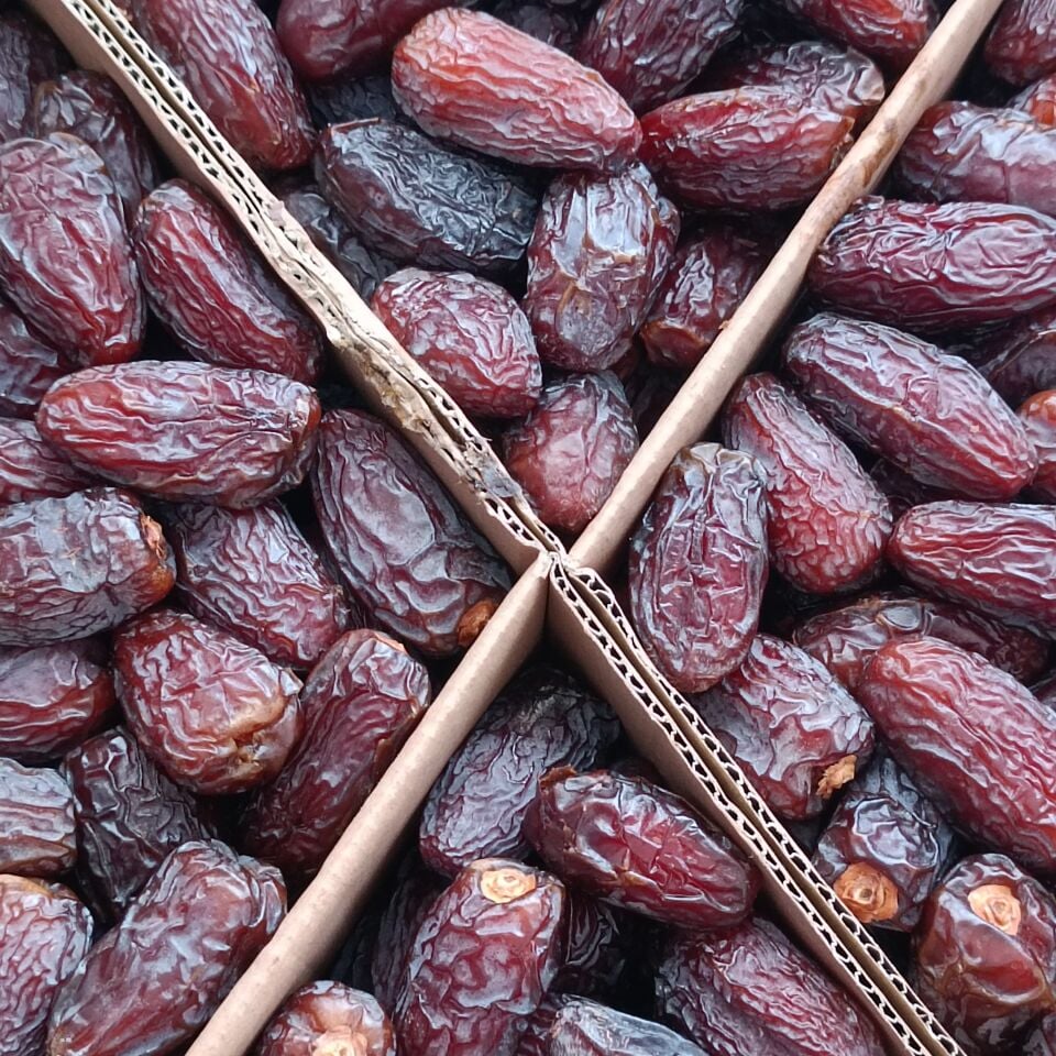 Toptan Kudüs Medjoul Premium Large 10 Kg