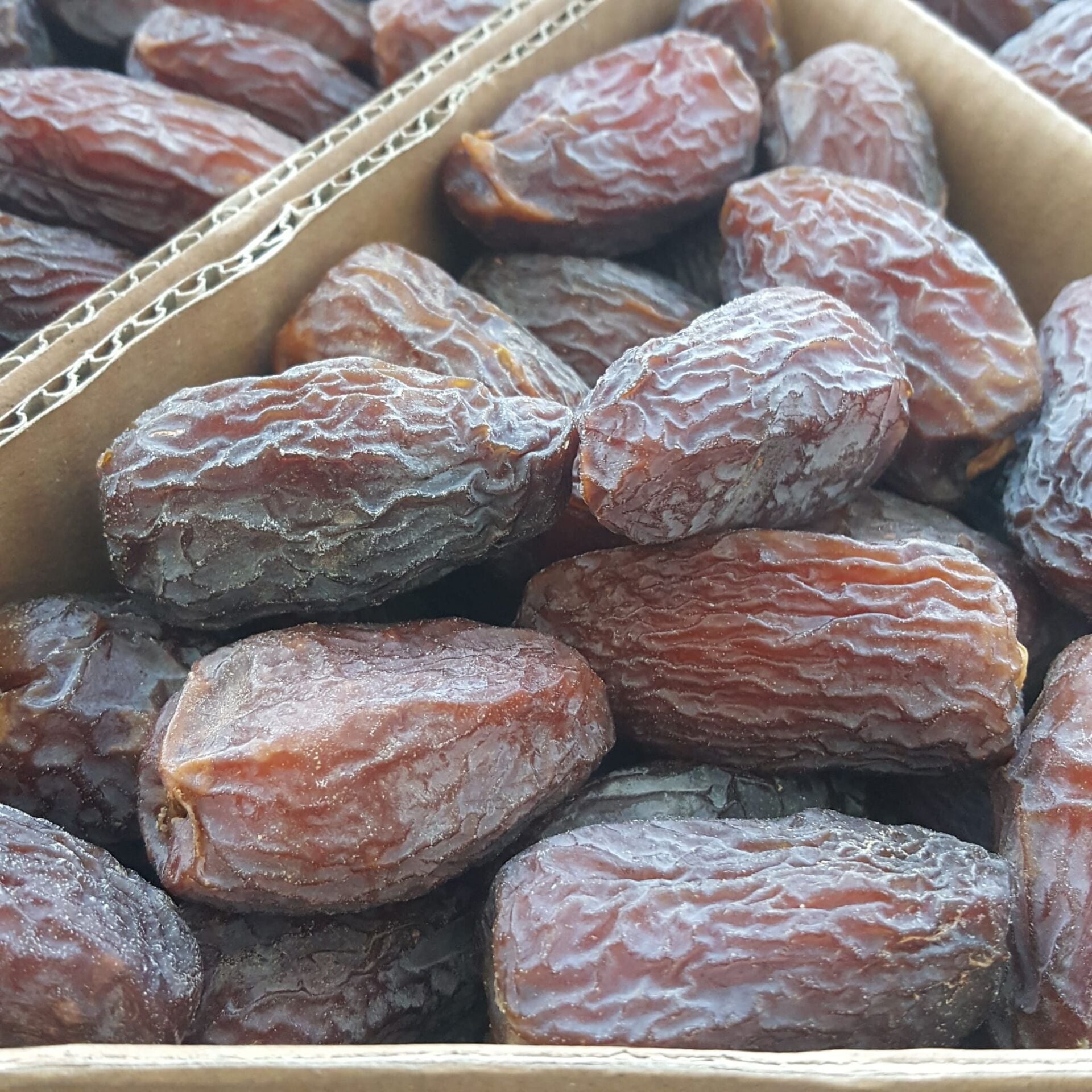 Toptan Kudüs Medjoul Premium Large 10 Kg