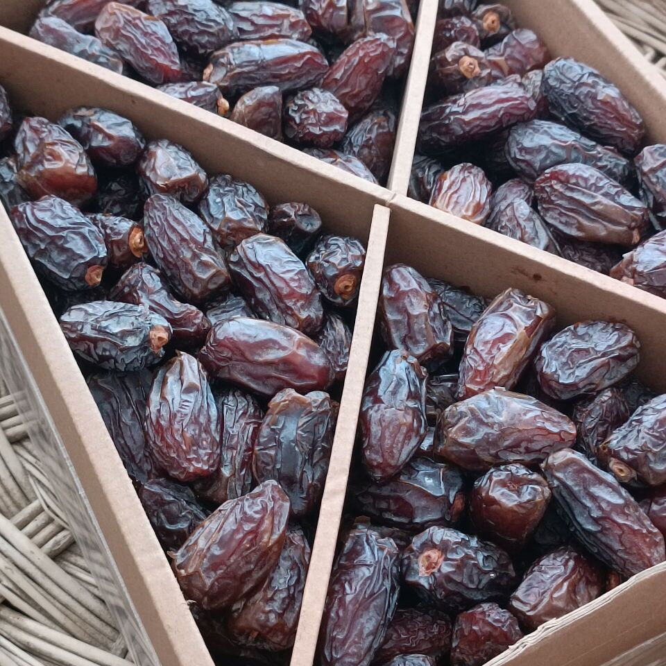 Toptan Kudüs Medjoul Premium Midium Delight 10 Kg