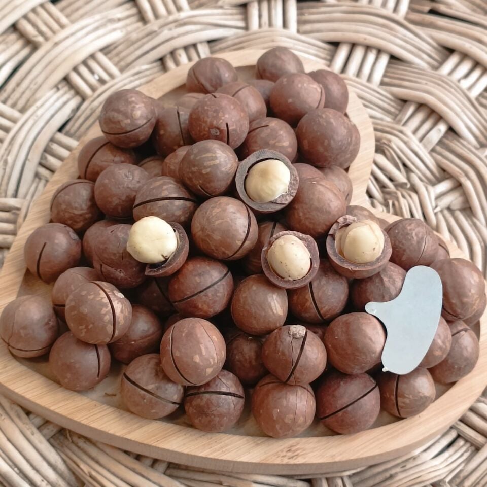 Toptan Kabuklu Kavrulmuş Makademya Fındığı 10 Kg