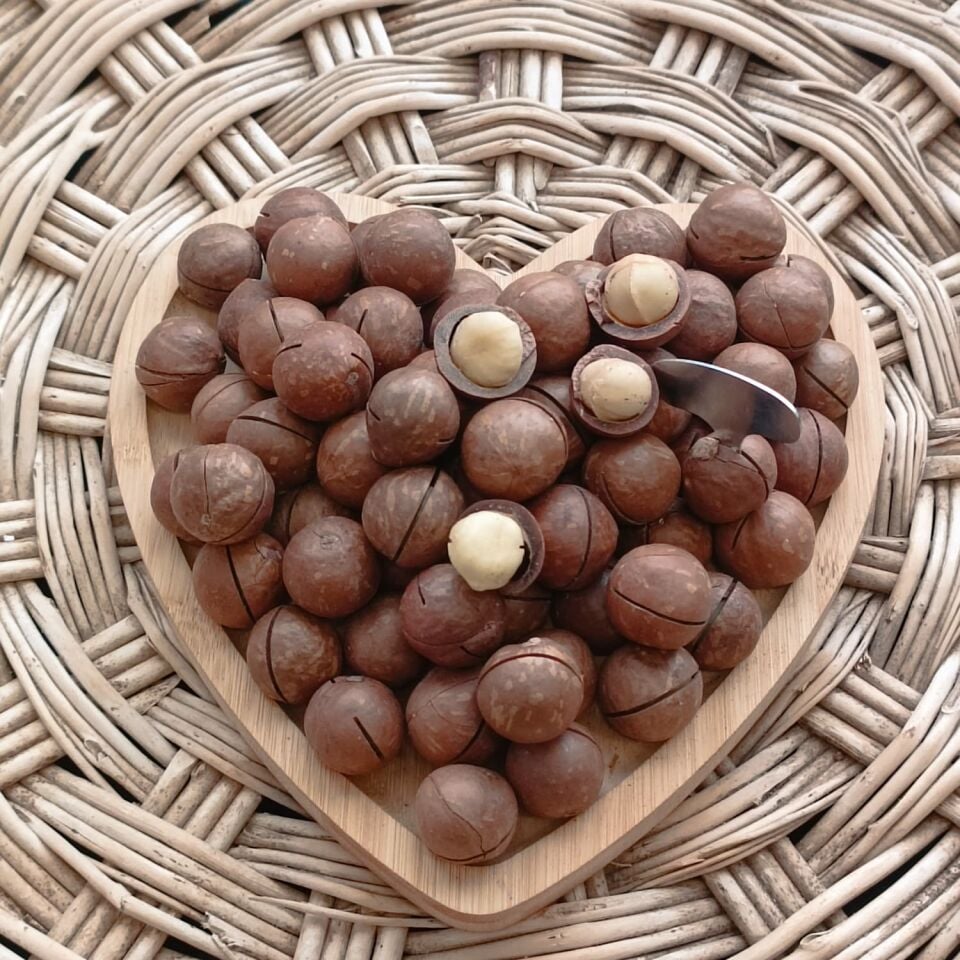 Toptan Kabuklu Kavrulmuş Makademya Fındığı 10 Kg