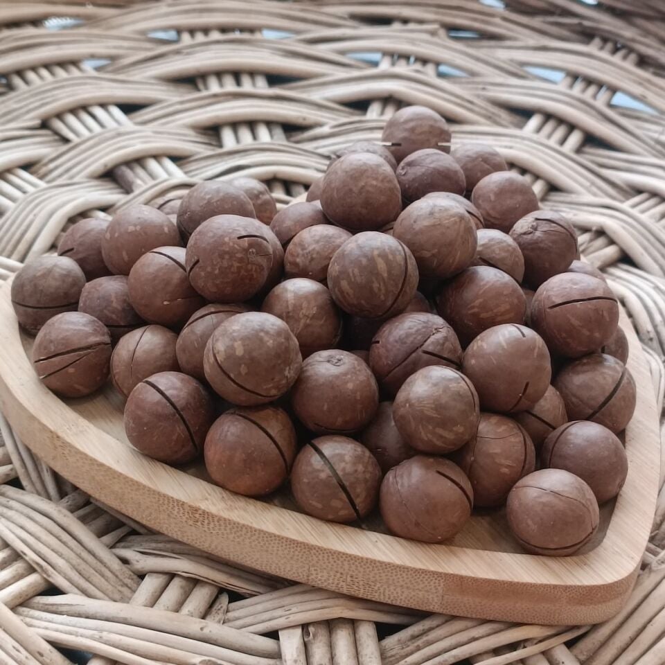 Toptan Kabuklu Kavrulmuş Makademya Fındığı 10 Kg