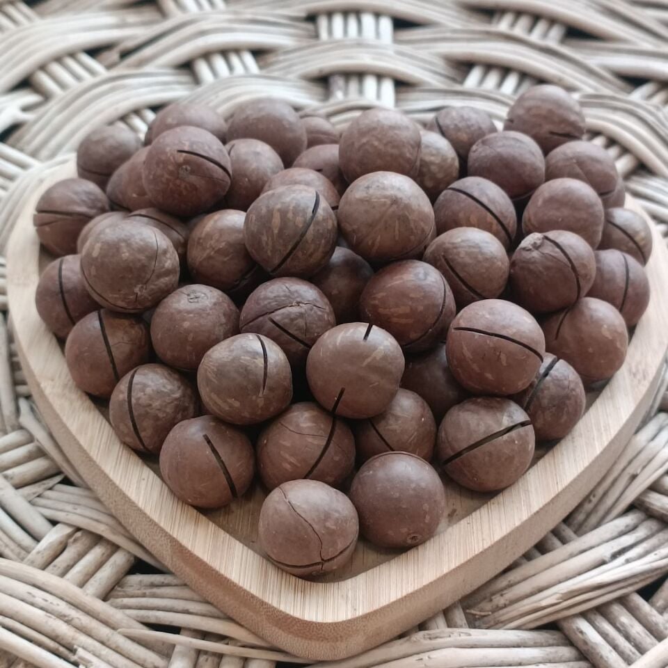 Toptan Kabuklu Kavrulmuş Makademya Fındığı 10 Kg