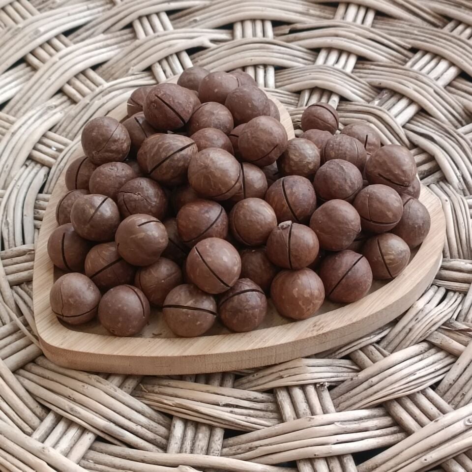 Toptan Kabuklu Kavrulmuş Makademya Fındığı 10 Kg