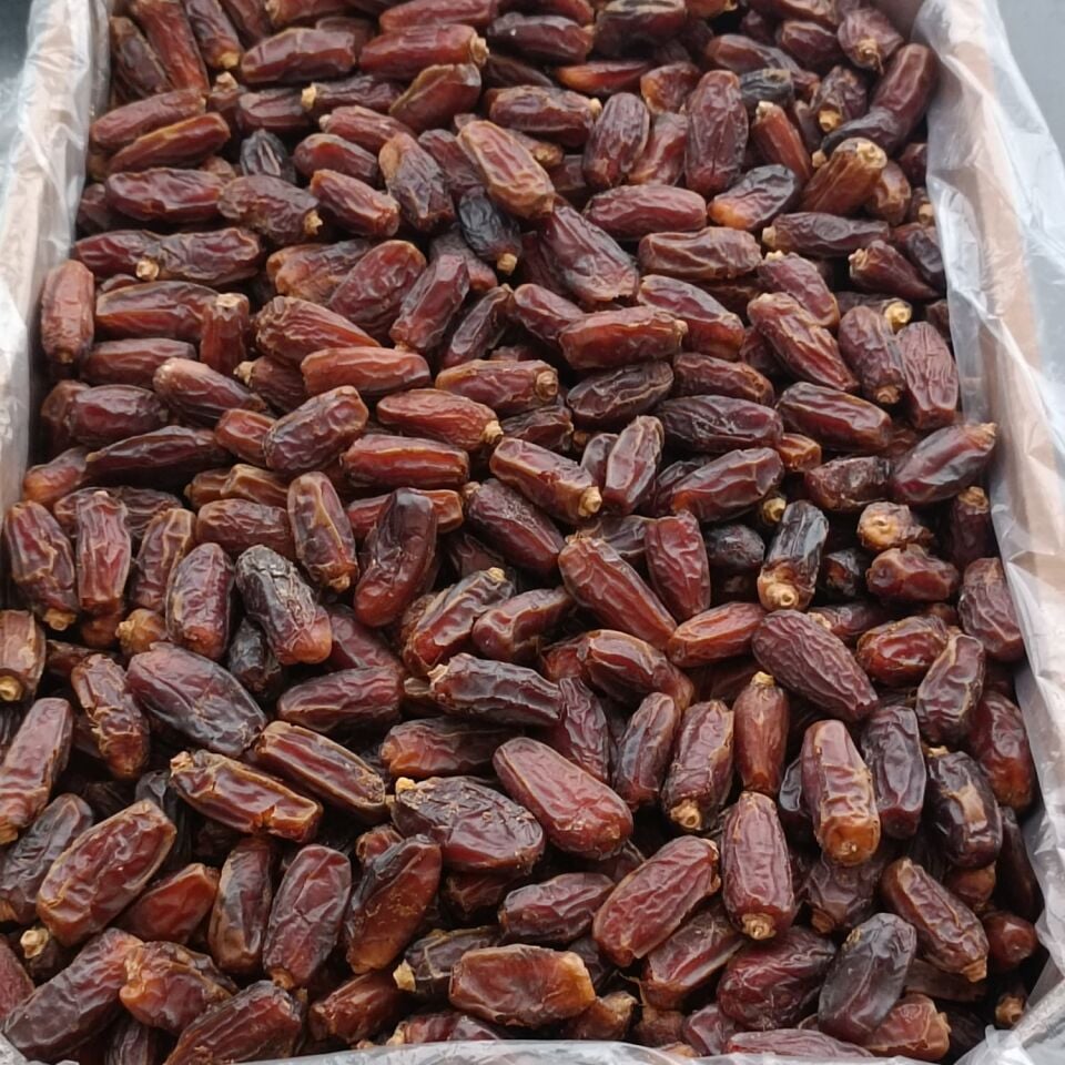 Toptan Naturel Medine Mebrum Hurma 10Kg