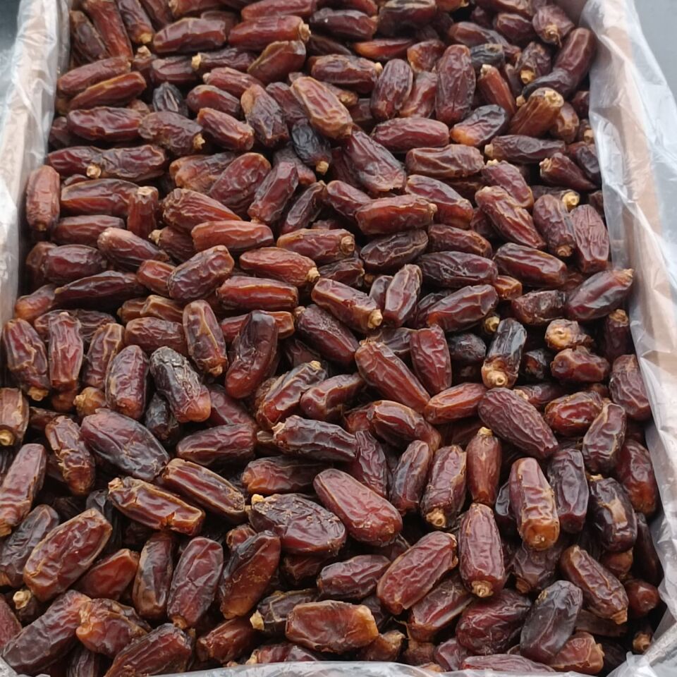 Toptan Naturel Medine Mebrum Hurma 10Kg