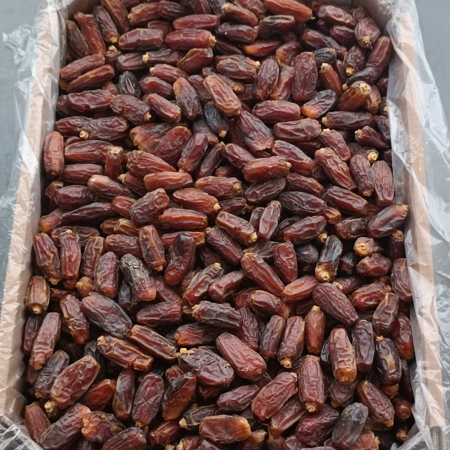 Toptan Naturel Medine Mebrum Hurma 10Kg