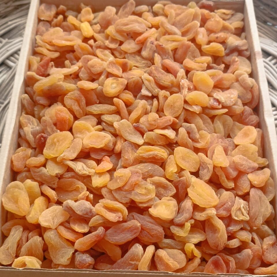 Toptan Sarı Elekaltı Hoşaflık Kuru Kayısı 12 Kg