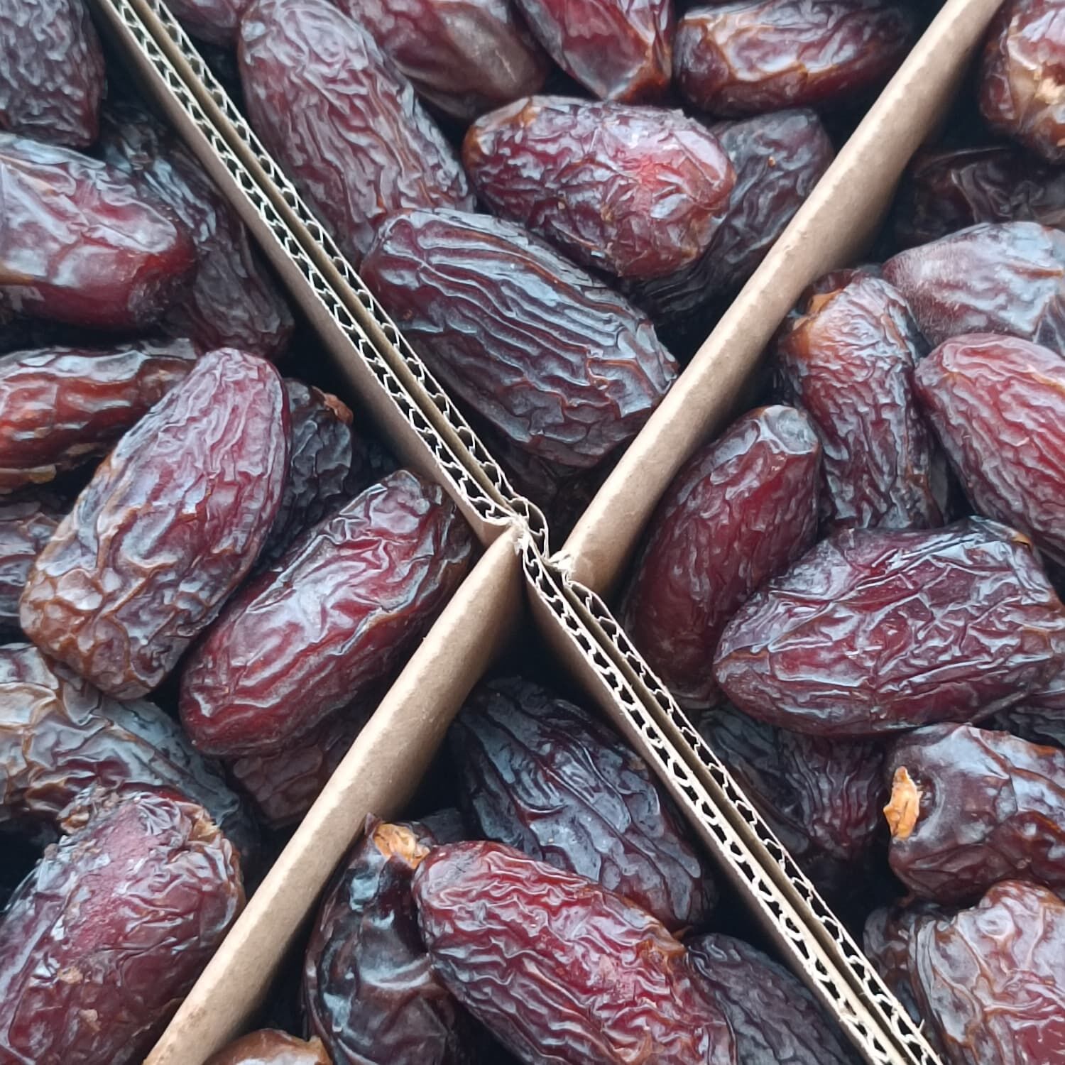 Toptan Kudüs Medjoul Premium Jumbo 10 Kg